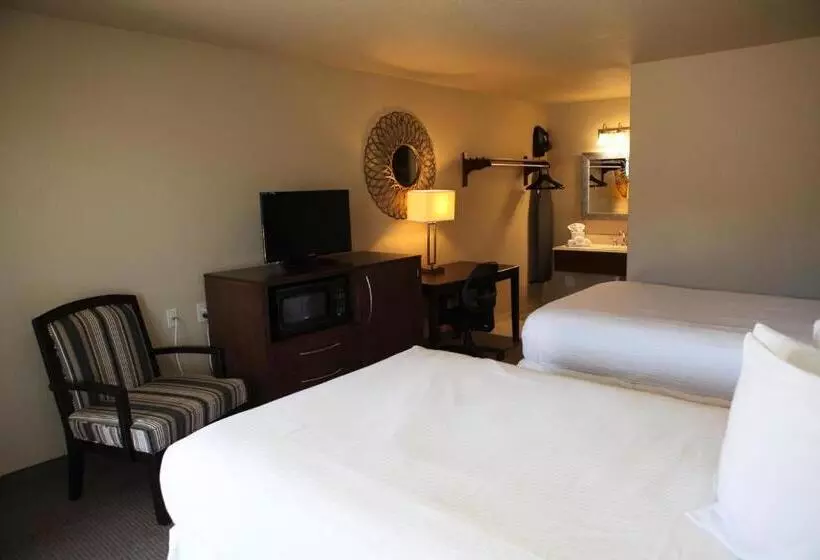 デラックスルーム, Unique Suites