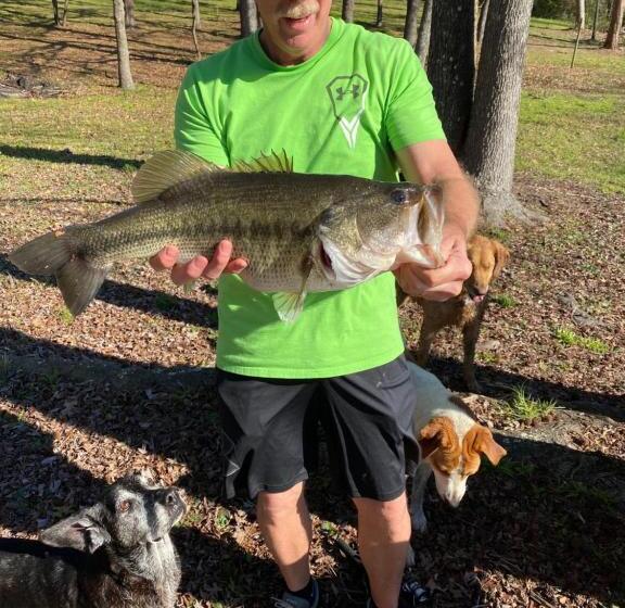 套房, Dogwood Springs Lodgings