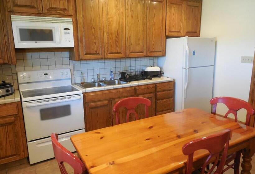 Апартаменты 1 Спальня, Dogwood Springs Lodgings