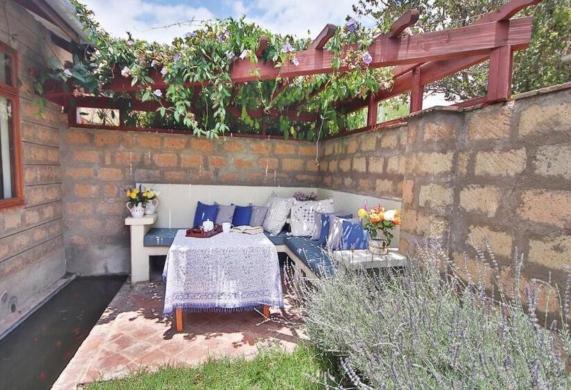 استودیوی سوپریور, Olesamara Collection