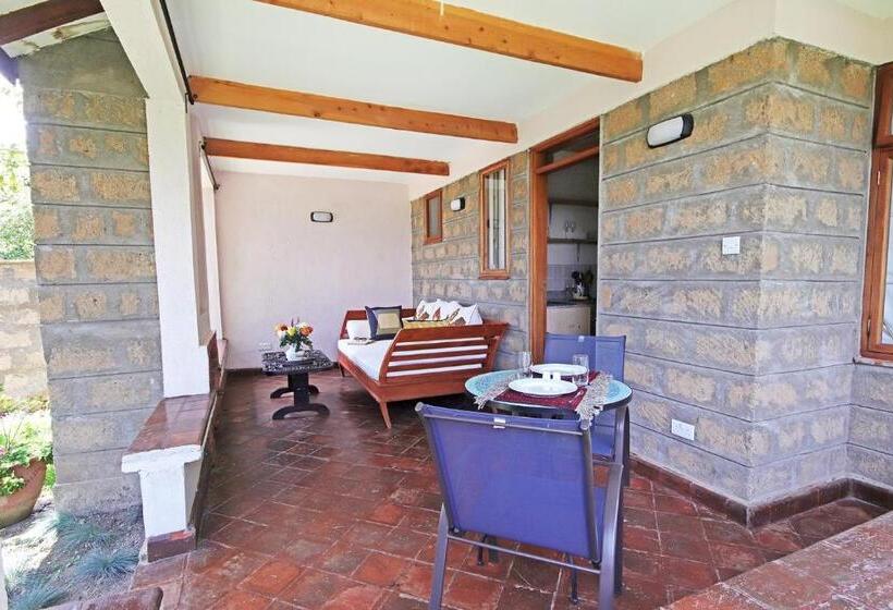 استودیوی سوپریور, Olesamara Collection