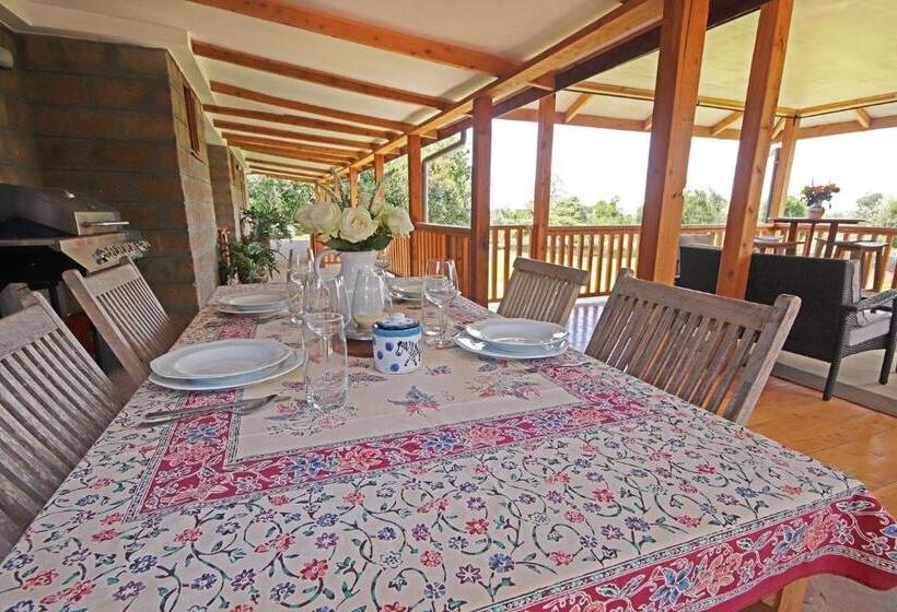 اتاق اکونومی, Olesamara Collection