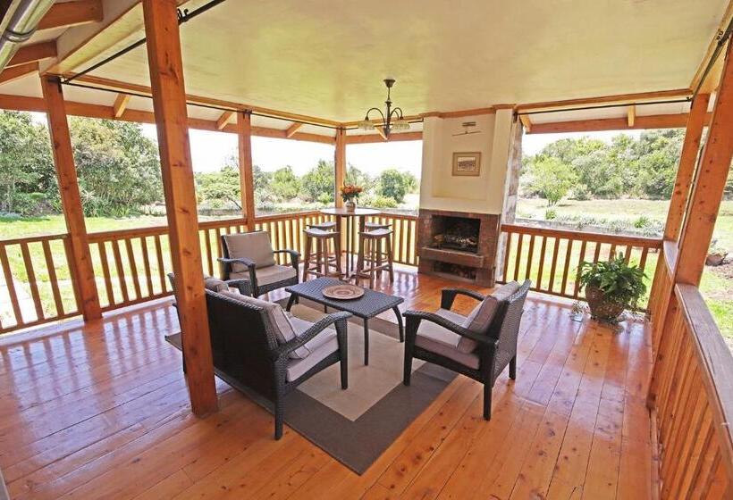 اتاق اکونومی, Olesamara Collection