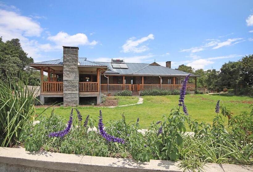 اتاق اکونومی, Olesamara Collection