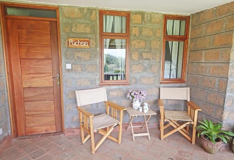 اتاق اکونومی, Olesamara Collection