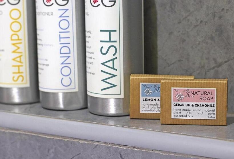 اتاق اکونومی, Olesamara Collection