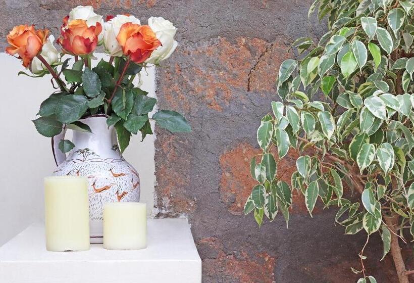 سوییت لوکس, Olesamara Collection