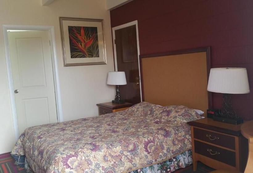 标准间, Thunder Bird Motel