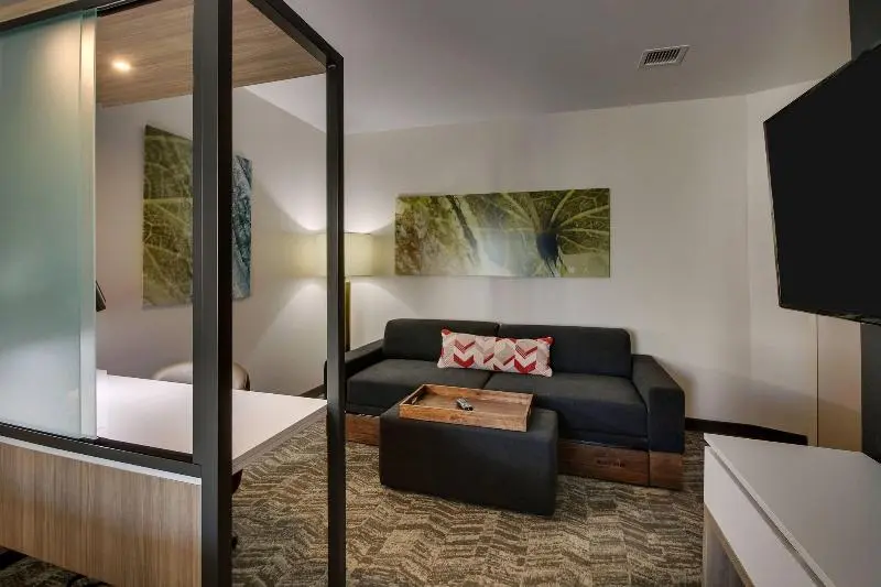 Suite Queen Bed, Springhill Suites By Marriott Gulfport I10
