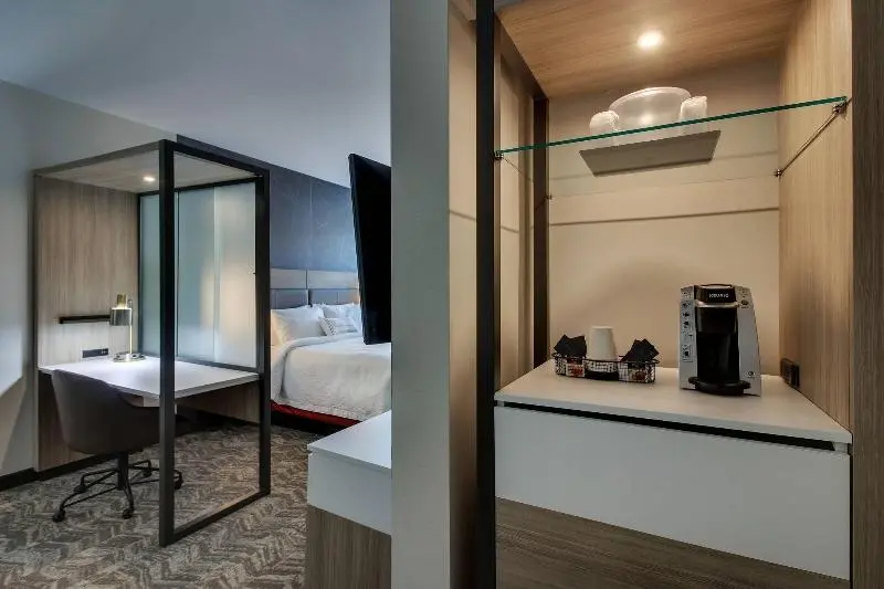 سوئیت با تخت بزرگ, Springhill Suites By Marriott Gulfport I10