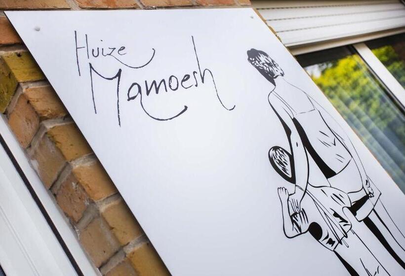 Дом 1 Спальня, Huize Mamoesh