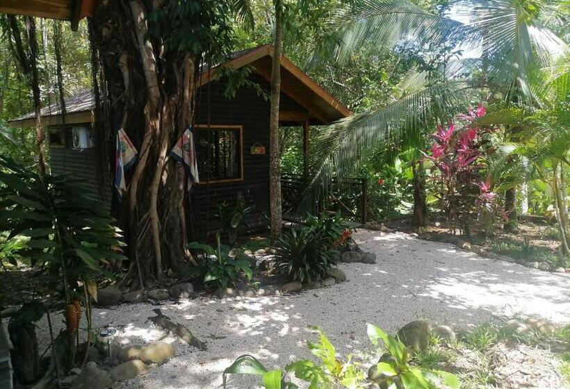 غرفة قياسية, Casa El Colibrí