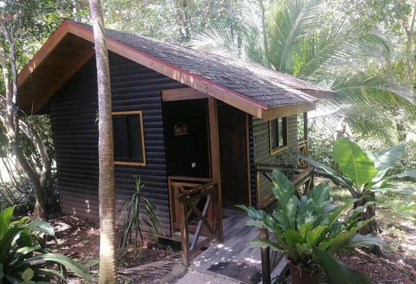 غرفة ديلوكس, Casa El Colibrí