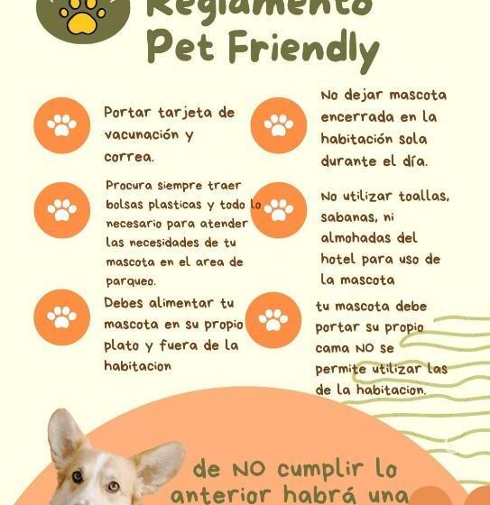 اتاق اکونومی, Rosalila