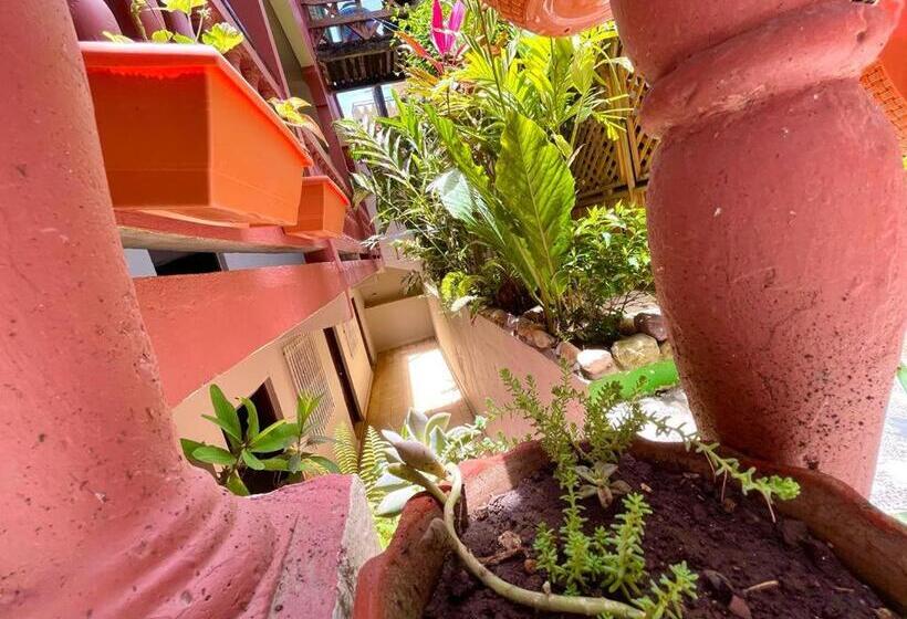 اتاق اکونومی, Rosalila