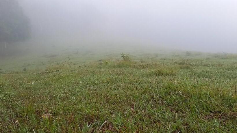 اتاق سوپریور سه تخته, Rosalila