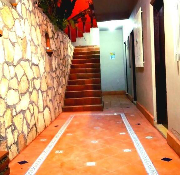 اتاق اکونومی یک تخته, Rosalila