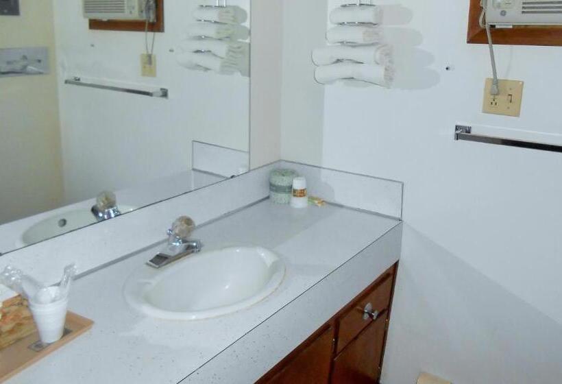 Номер Стандарт 2 Двуспальные Кровати, Budget Inn