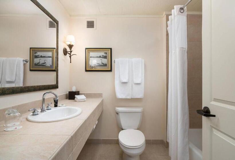 إستوديو قياسى, The Inn At Celebration, Autograph Collection