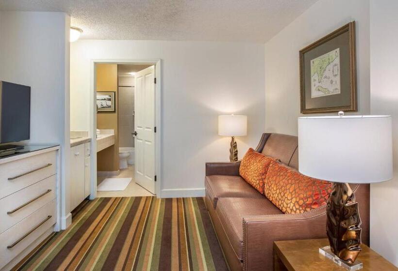 جناح سرير كينج, The Inn At Celebration, Autograph Collection