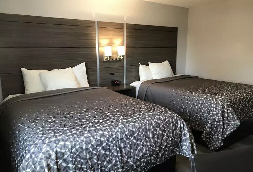 ２ダブルベッドのスタンダードルーム, Hometown Inn