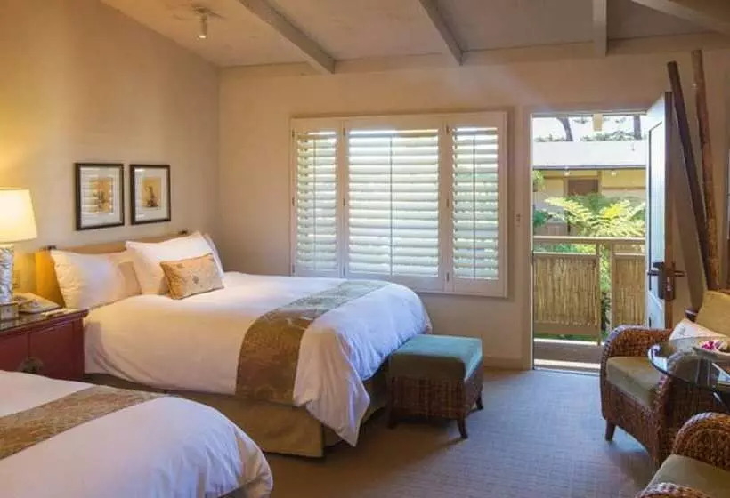 Deluxe-huone, Tradewinds Carmel