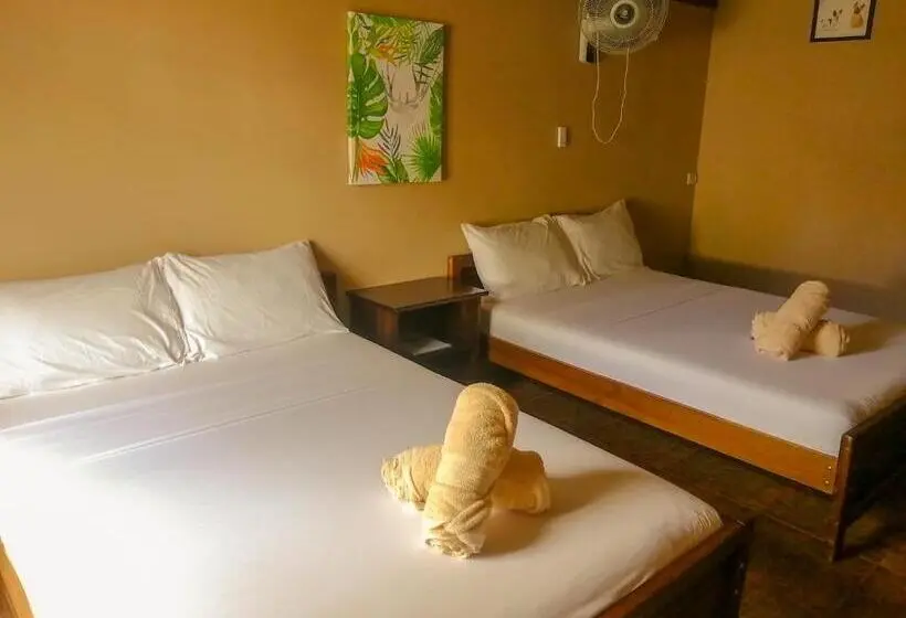 Superior-huone, Nice Place Hostel
