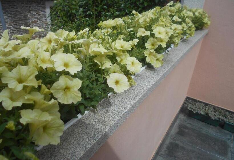 اتاق استاندارد با تراس, Xardín De Estrelas