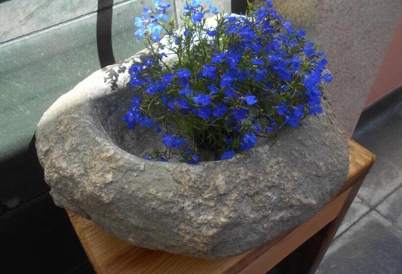 اتاق استاندارد با تراس, Xardín De Estrelas