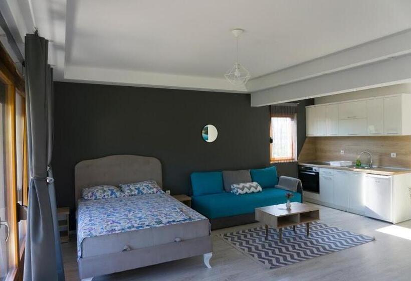 استودیوی استاندارد, Apartments Ena