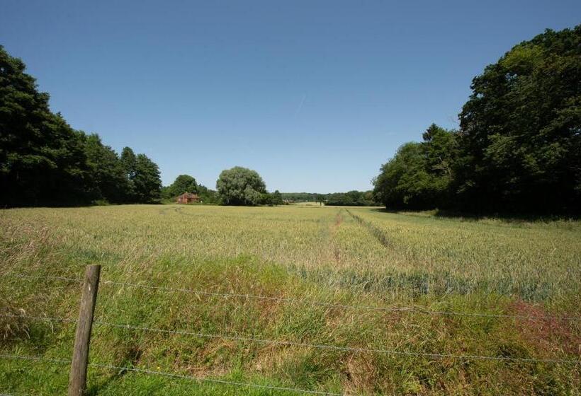 חדר דלוקס עם מרפסת, The Withies Inn