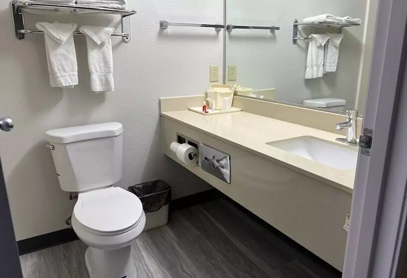 スイート, Baymont By Wyndham Omaha Sw