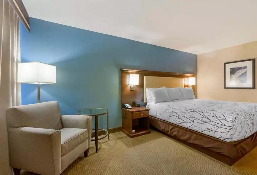 身障者適用キングサイズベッドルーム, Best Western Plus Coeur D'alene Inn