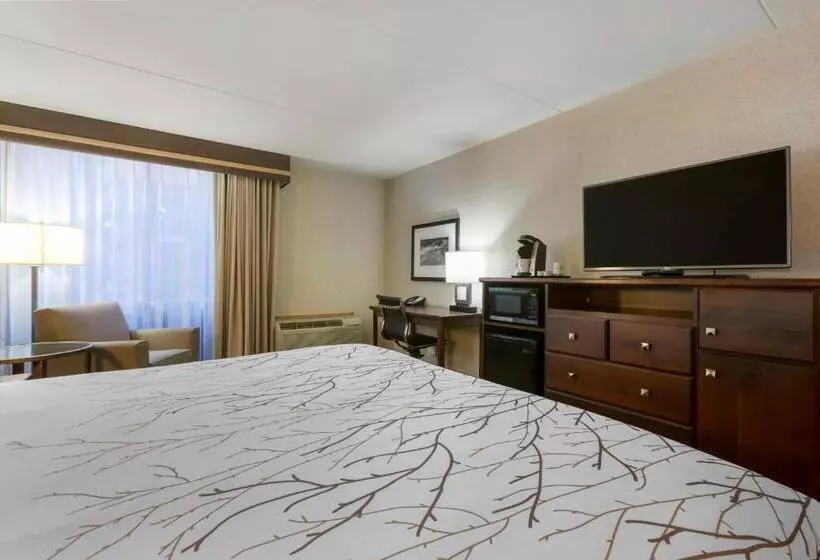 キングサイズベッドのスタンダードルーム, Best Western Plus Coeur D'alene Inn