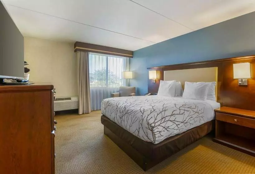 身障者適用スタンダードルーム, Best Western Plus Coeur D'alene Inn