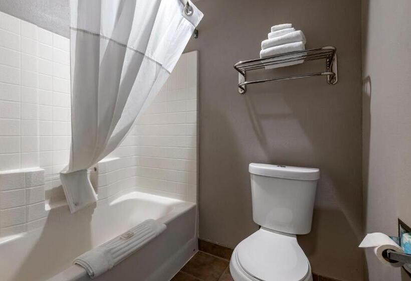 غرفة قياسية سرير كينج, Clarion Inn Kingman I40 Route 66