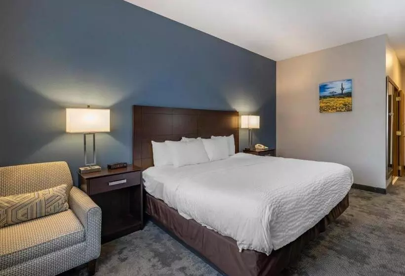 اتاق استاندارد با تخت بزرگ برای معلولان, Clarion Inn Kingman I40 Route 66