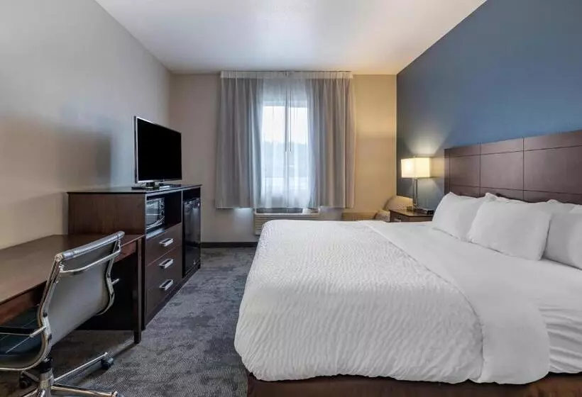 اتاق استاندارد با تخت بزرگ برای معلولان, Clarion Inn Kingman I40 Route 66