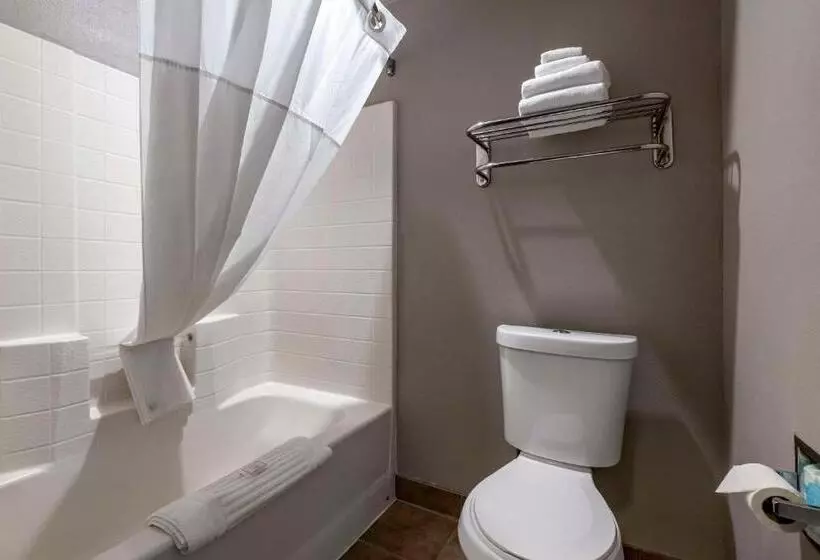 اتاق استاندارد با تخت بزرگ برای معلولان, Clarion Inn Kingman I40 Route 66