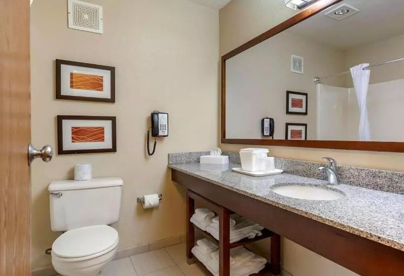 اتاق استاندارد با تخت بزرگ, Comfort Inn