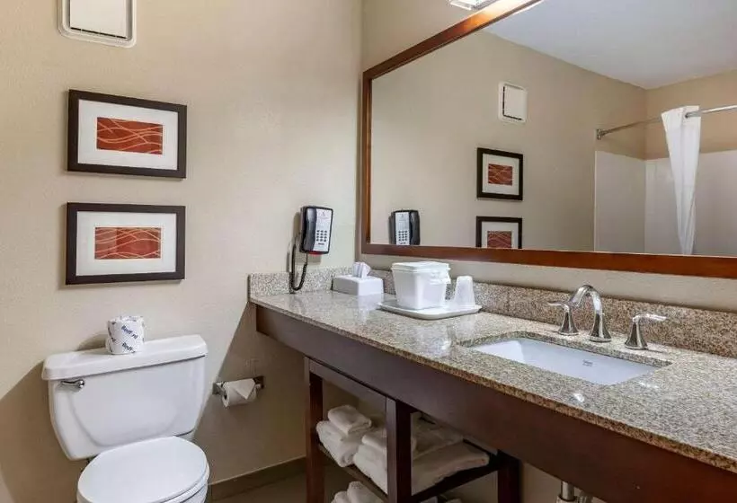 سوئیت با تخت بزرگ, Comfort Inn