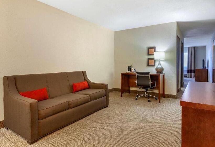 جناح سرير كينج, Comfort Inn