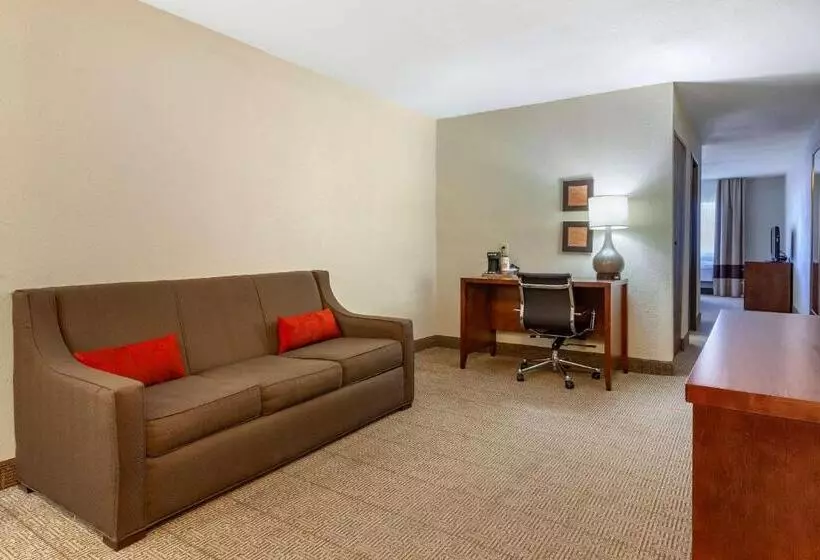 سوئیت با تخت بزرگ, Comfort Inn