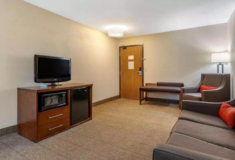سوئیت با تخت بزرگ, Comfort Inn