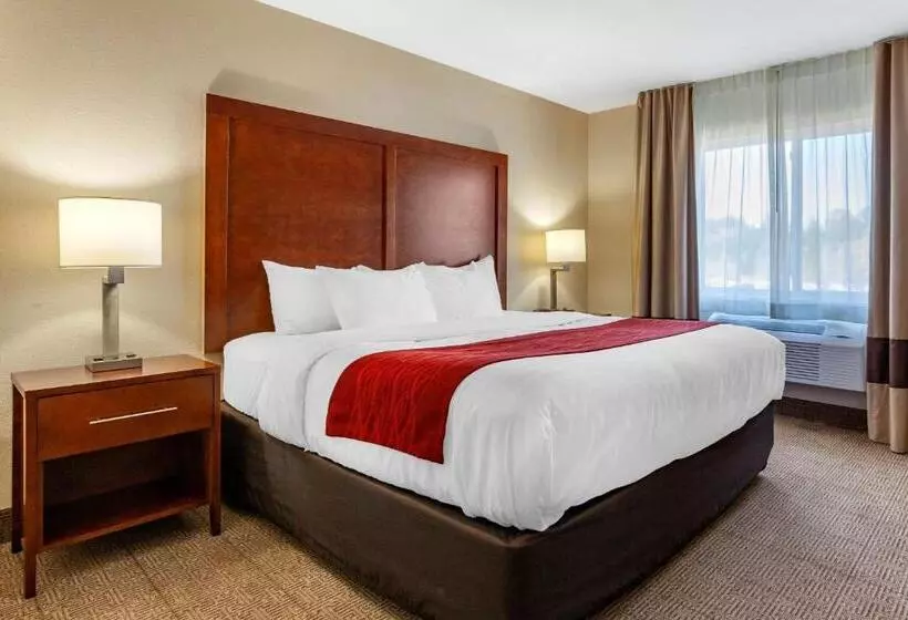 سوئیت با تخت بزرگ, Comfort Inn