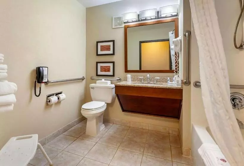 اتاق استاندارد با تخت بزرگ برای معلولان, Comfort Inn