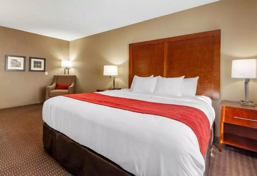 اتاق استاندارد با تخت بزرگ برای معلولان, Comfort Inn