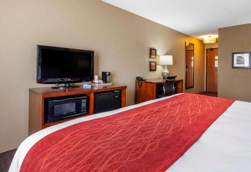 غرفة قياسية سرير كينج لذوى الإحتياجات الخاصة, Comfort Inn
