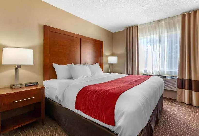 اتاق استاندارد با تخت بزرگ برای معلولان, Comfort Inn