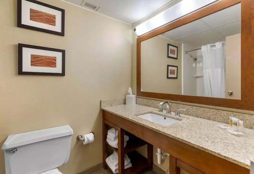 اتاق استاندارد با 2 تخت دوبل, Comfort Inn St. Louis  Westport Event Center